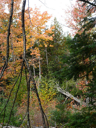 L1000821.JPG
