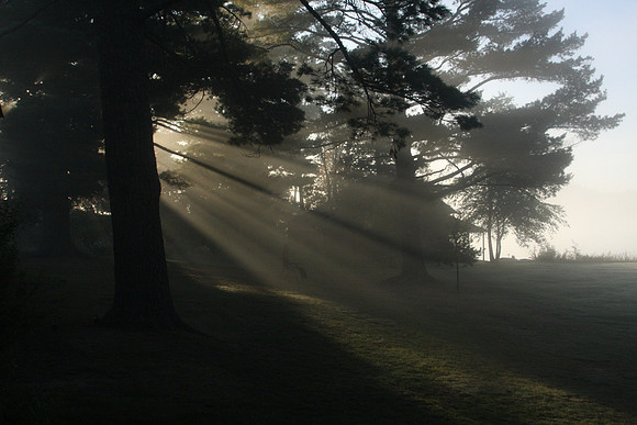 IMG_9781