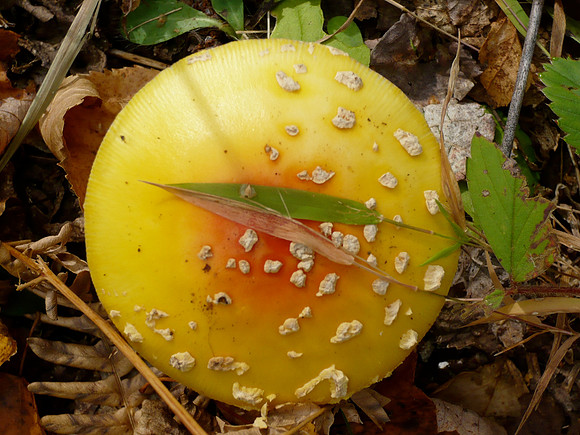 L1000829.JPG